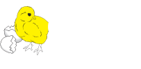 Omni Export Services Inc