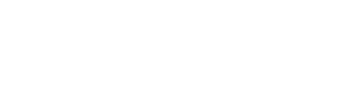 MSW LLC