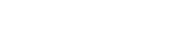 Worldwide Logistic Partners Inc