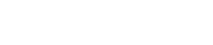 The Terminal Corporation