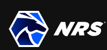 National Relocation Services Inc logo
