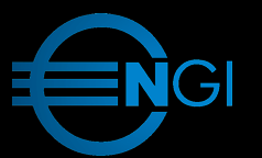 Next Generation Ingenuity Inc logo