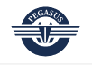 Pegasus Shipping Inc logo