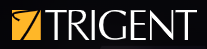 Trigent Software Inc logo
