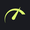 Full Speed Transport Inc logo