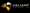 Valiant Transport Inc logo