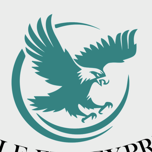 Eagle Eye Express LLC Logo