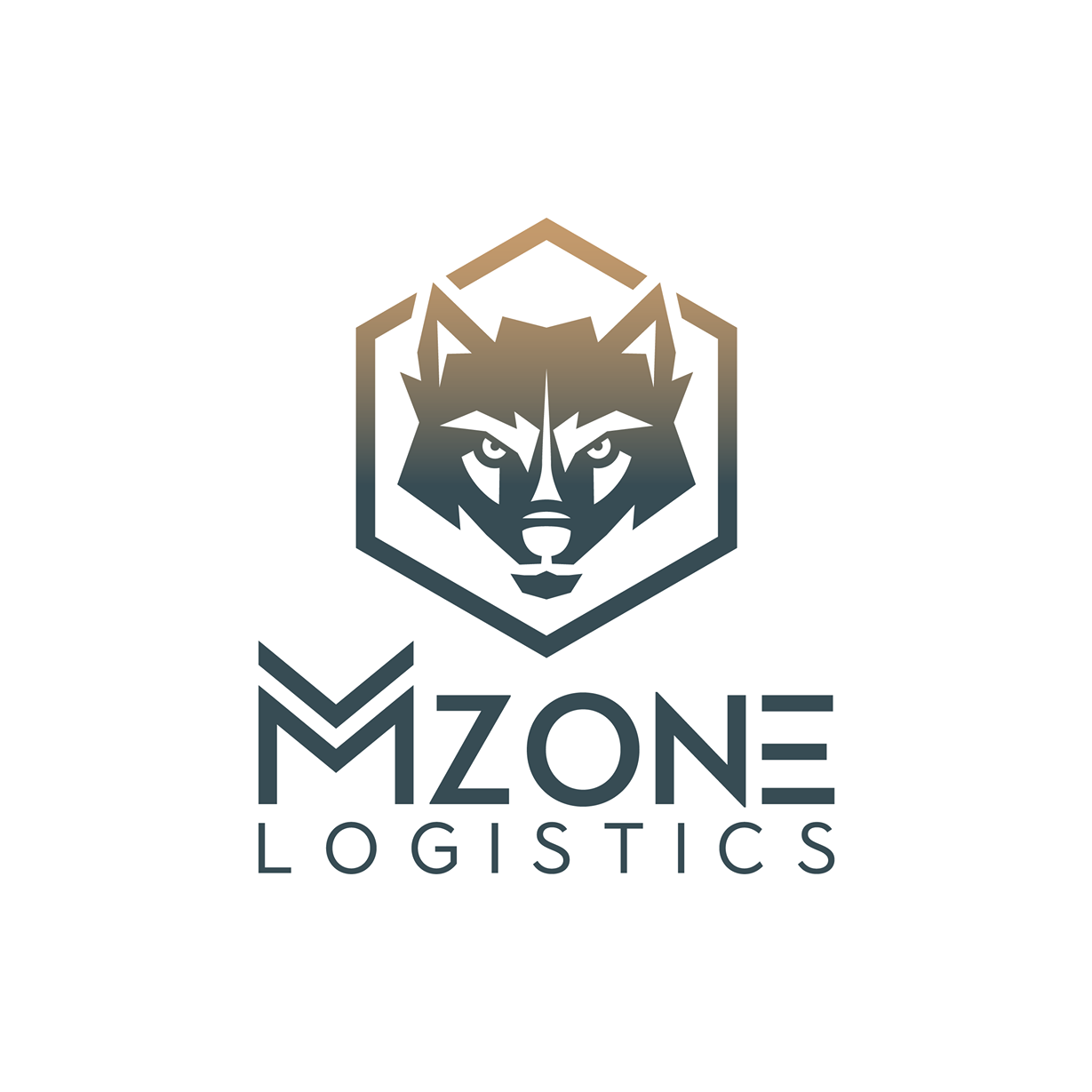 M Zone Logistics LLC Logo