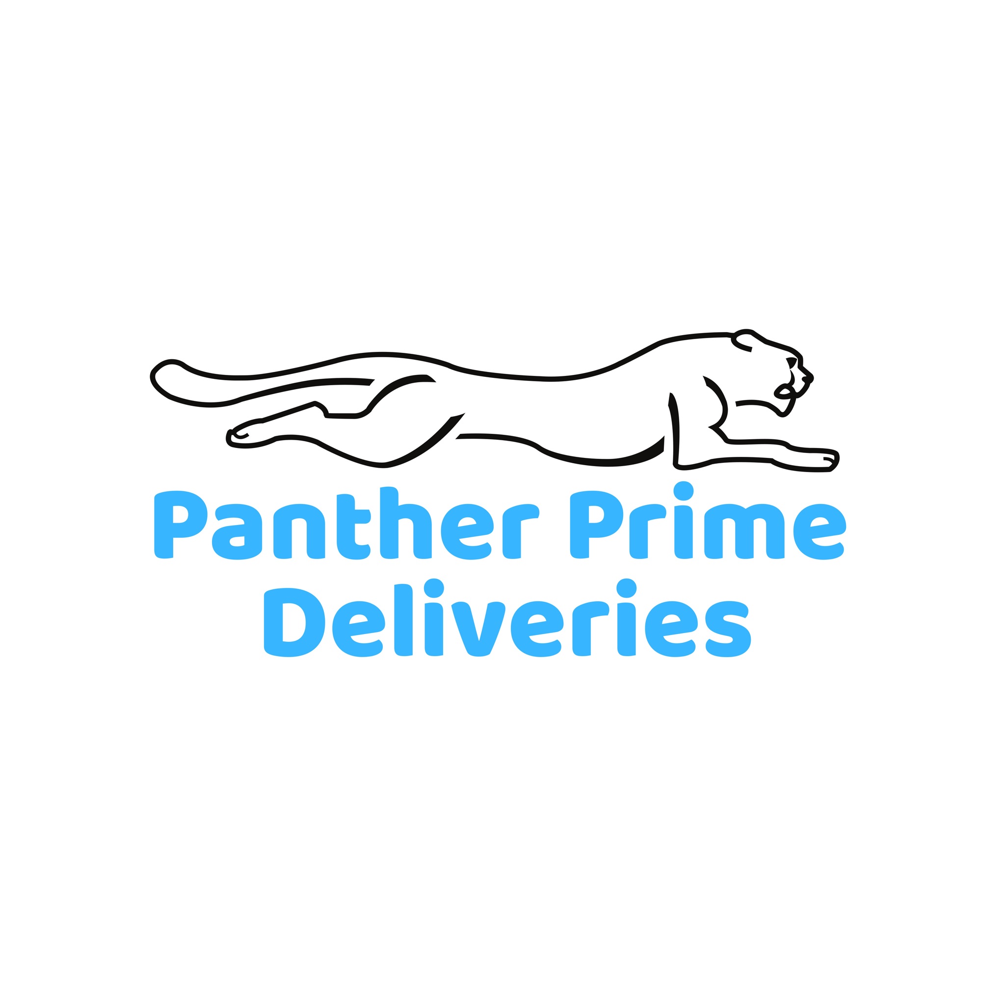 Panther Package Deliveries LLC Logo