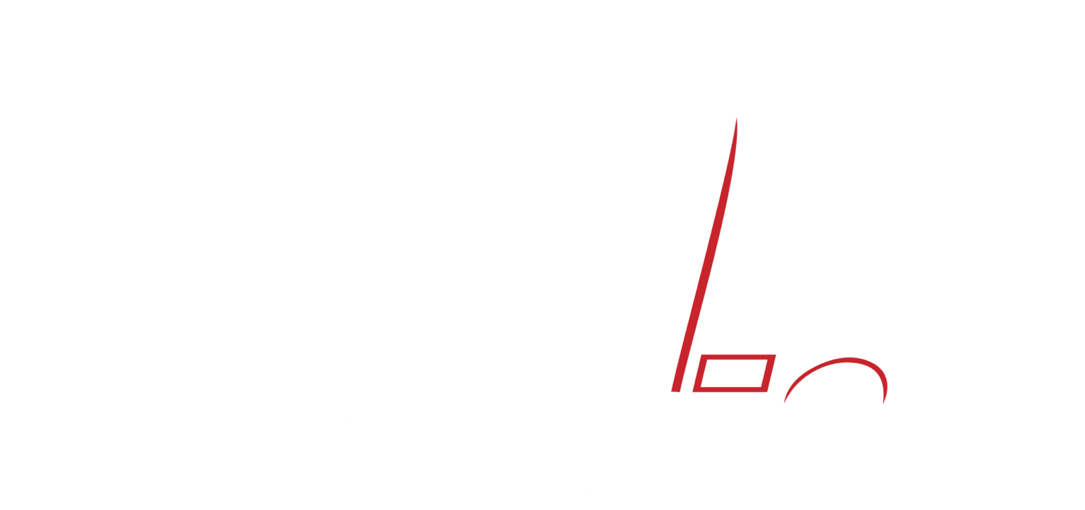 Visionar Services Inc Logo
