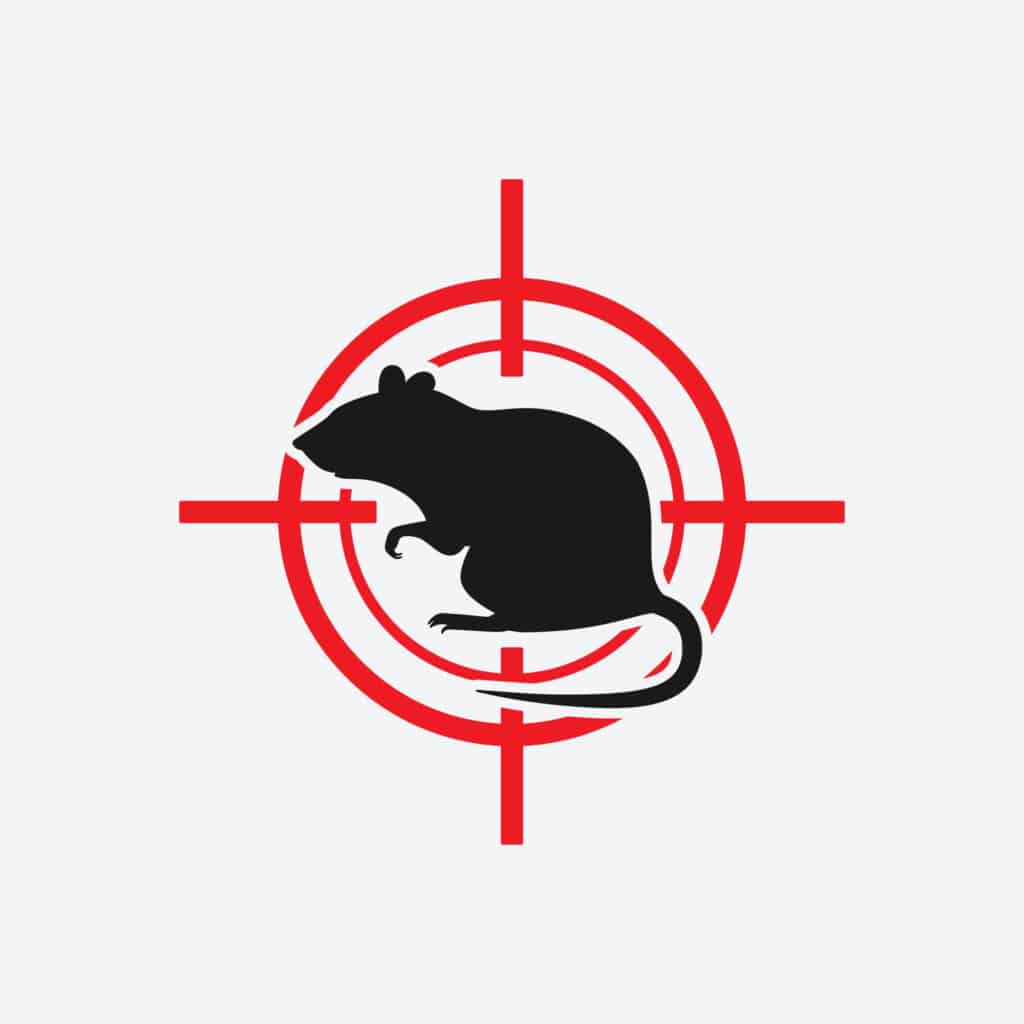 Rodent control is necessary to maintain the health and safety standards of your warehouse.